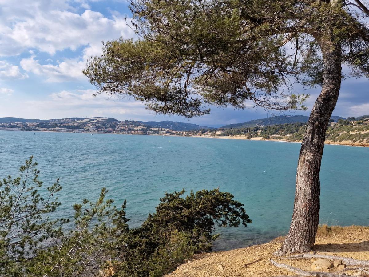 Sanaritz Apartment Sanary-sur-Mer Luaran gambar